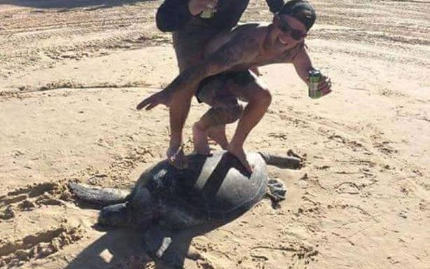 two men on a sea turtle