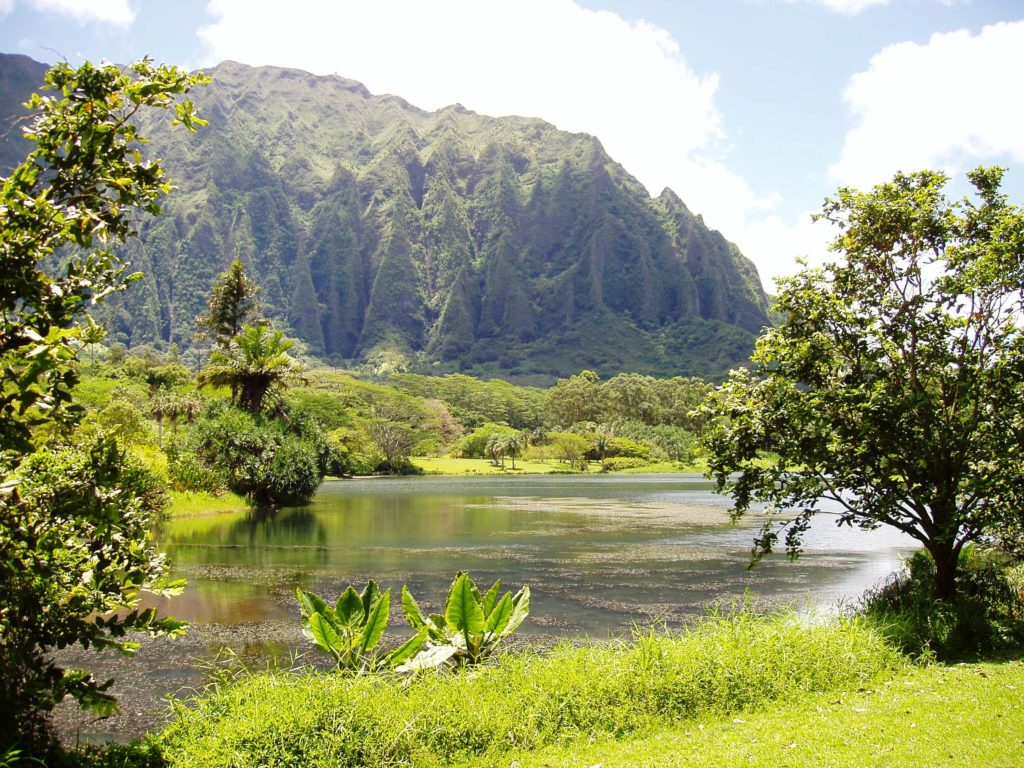 View of Koolau from Hoomaluhia Botantical Garden