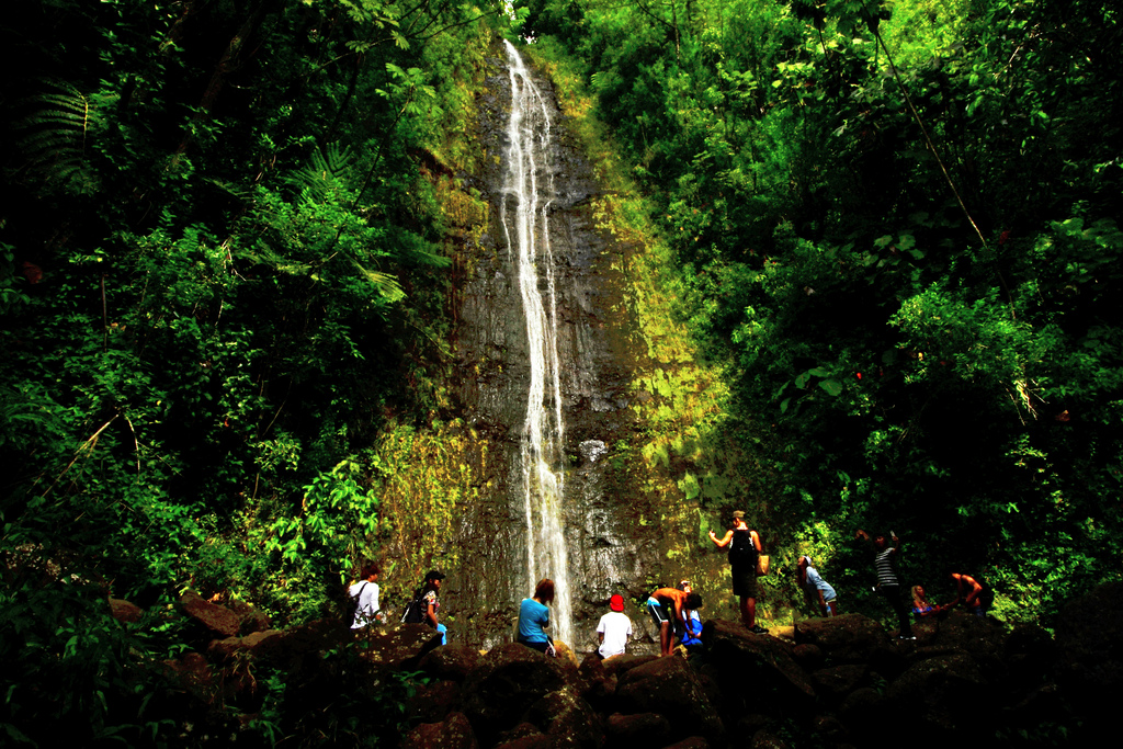 Manoa Falls easy hikes oahu