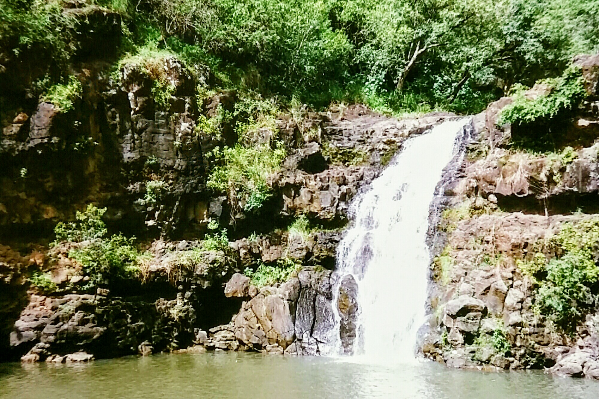 Waimea Falls