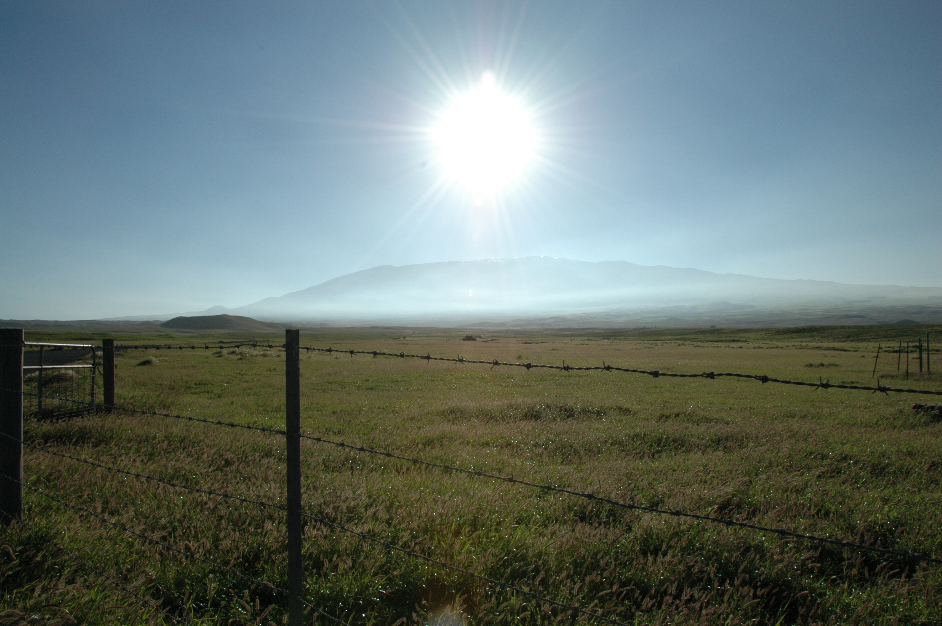 Parker Ranch with Mauna Kea in background