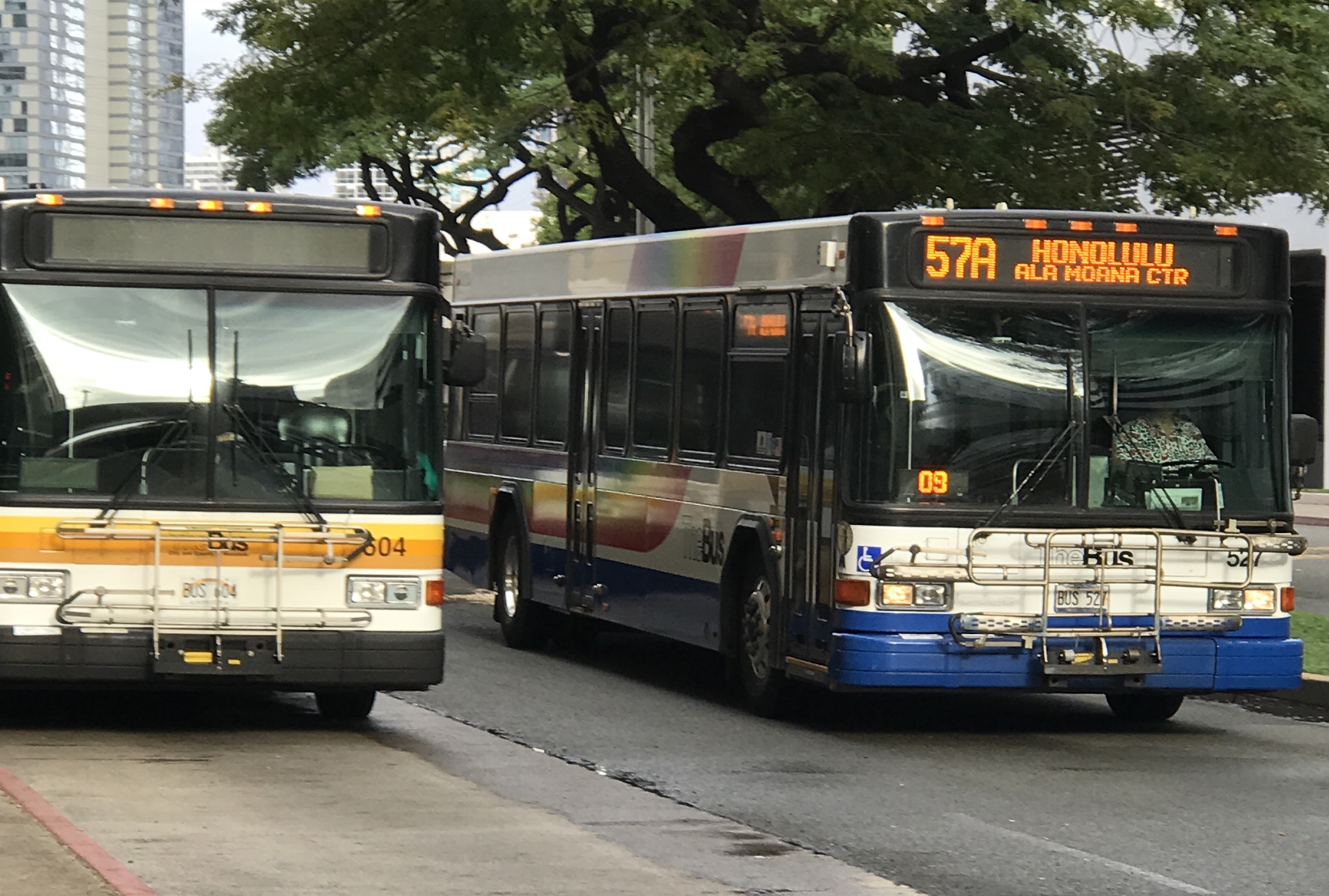 Two city buses on street