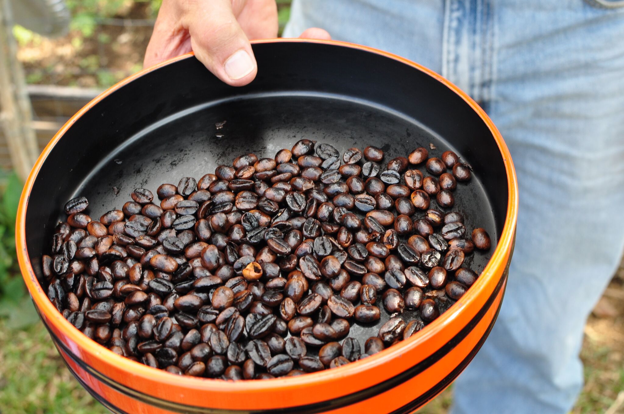 Coffee beans in a tin