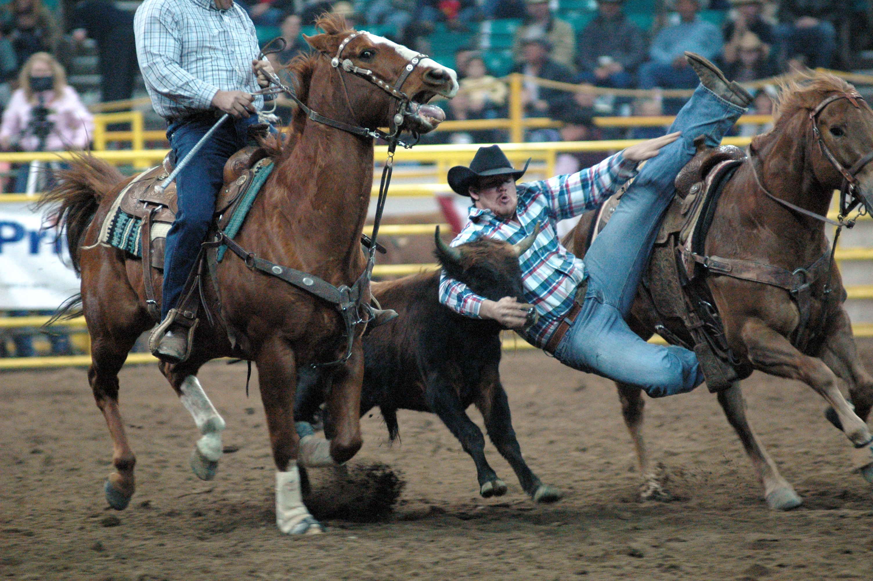 two men in a rodeo ring while one many is holding a calf's head