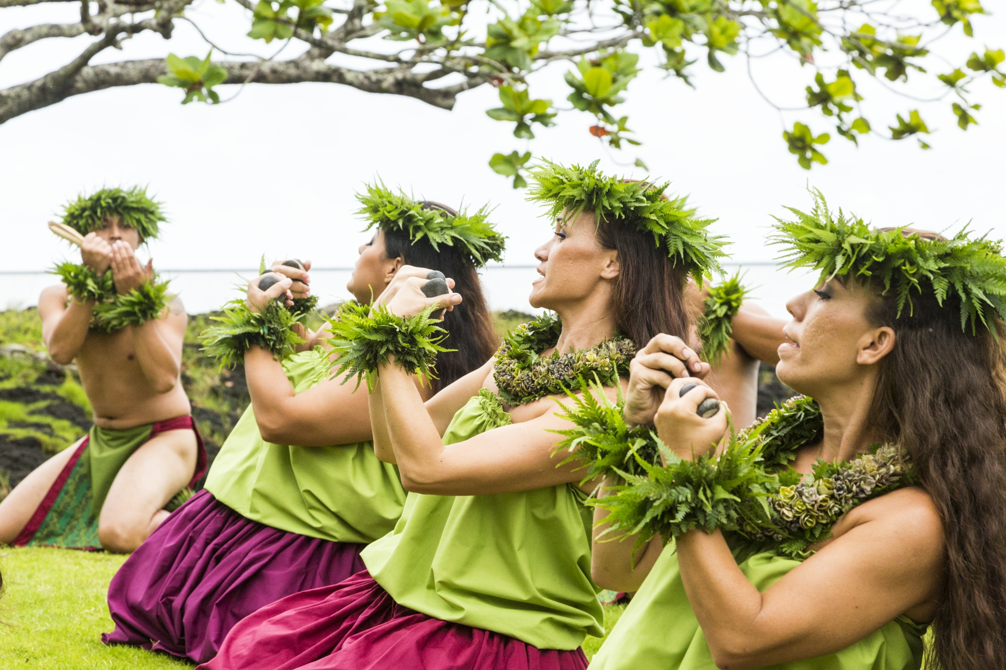 Hula dancers