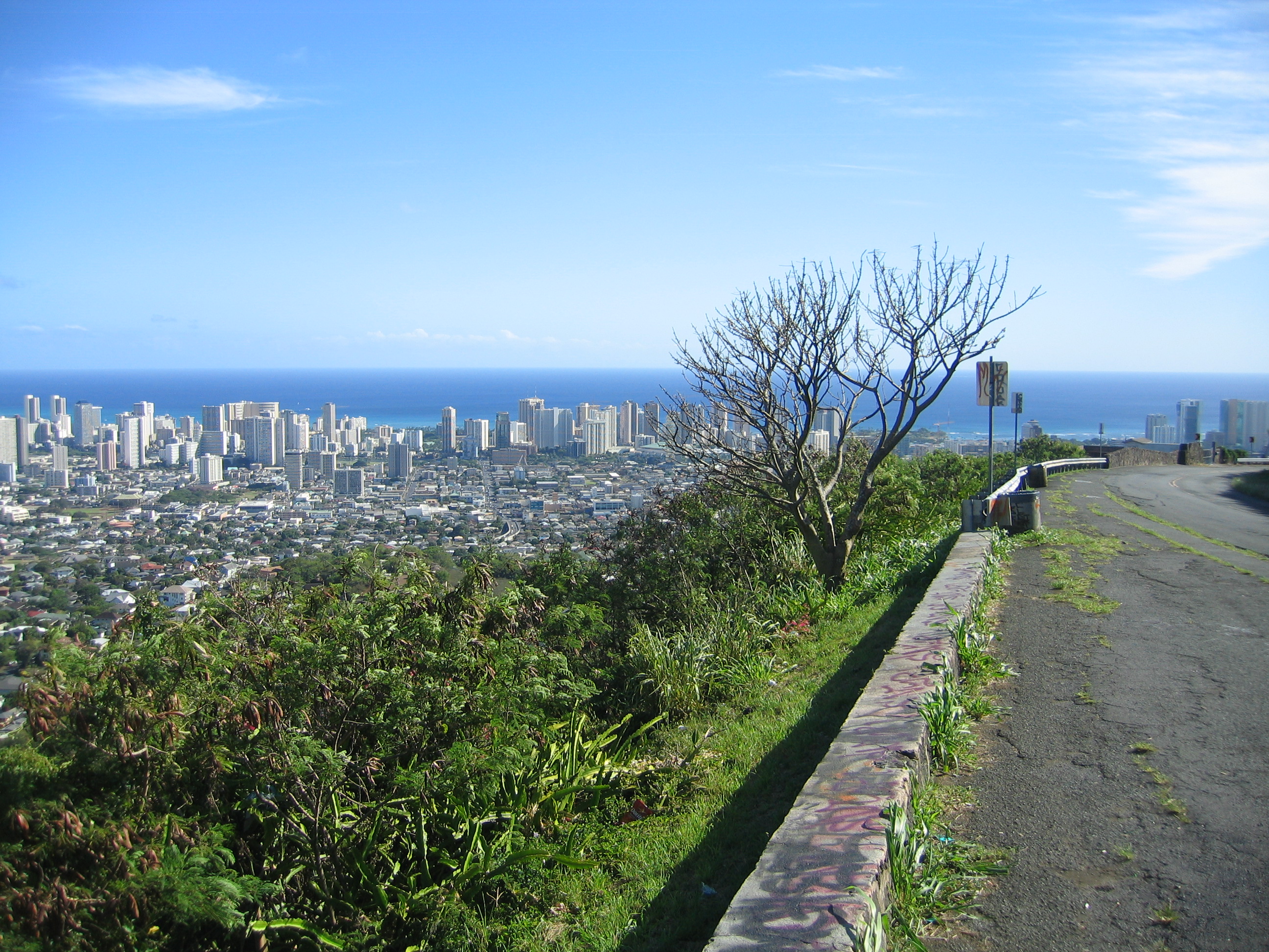 Tantalus road with overview of city