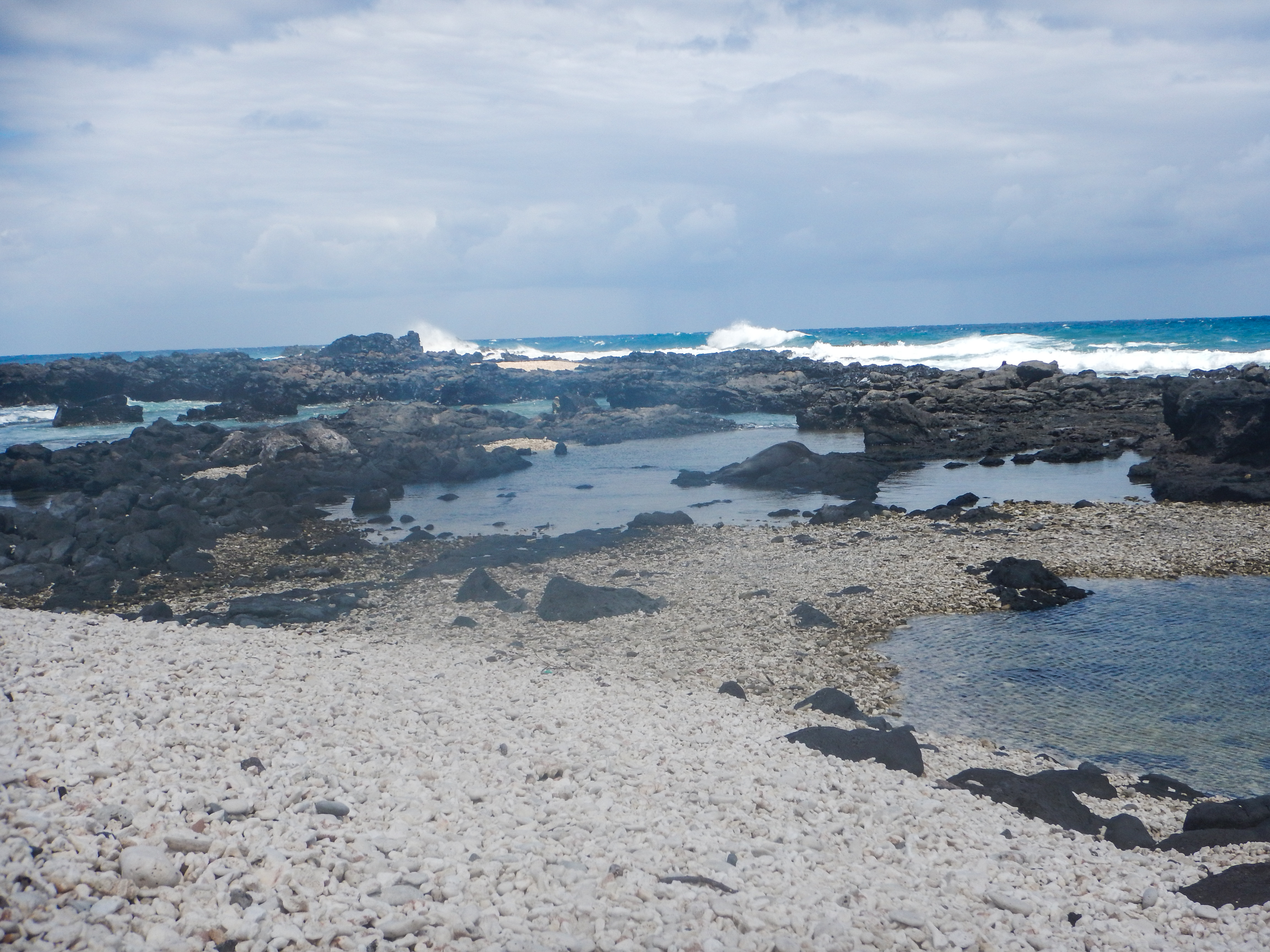 The secluded, volcanic coast of Kaena Point makes for some of the best views on the island.
