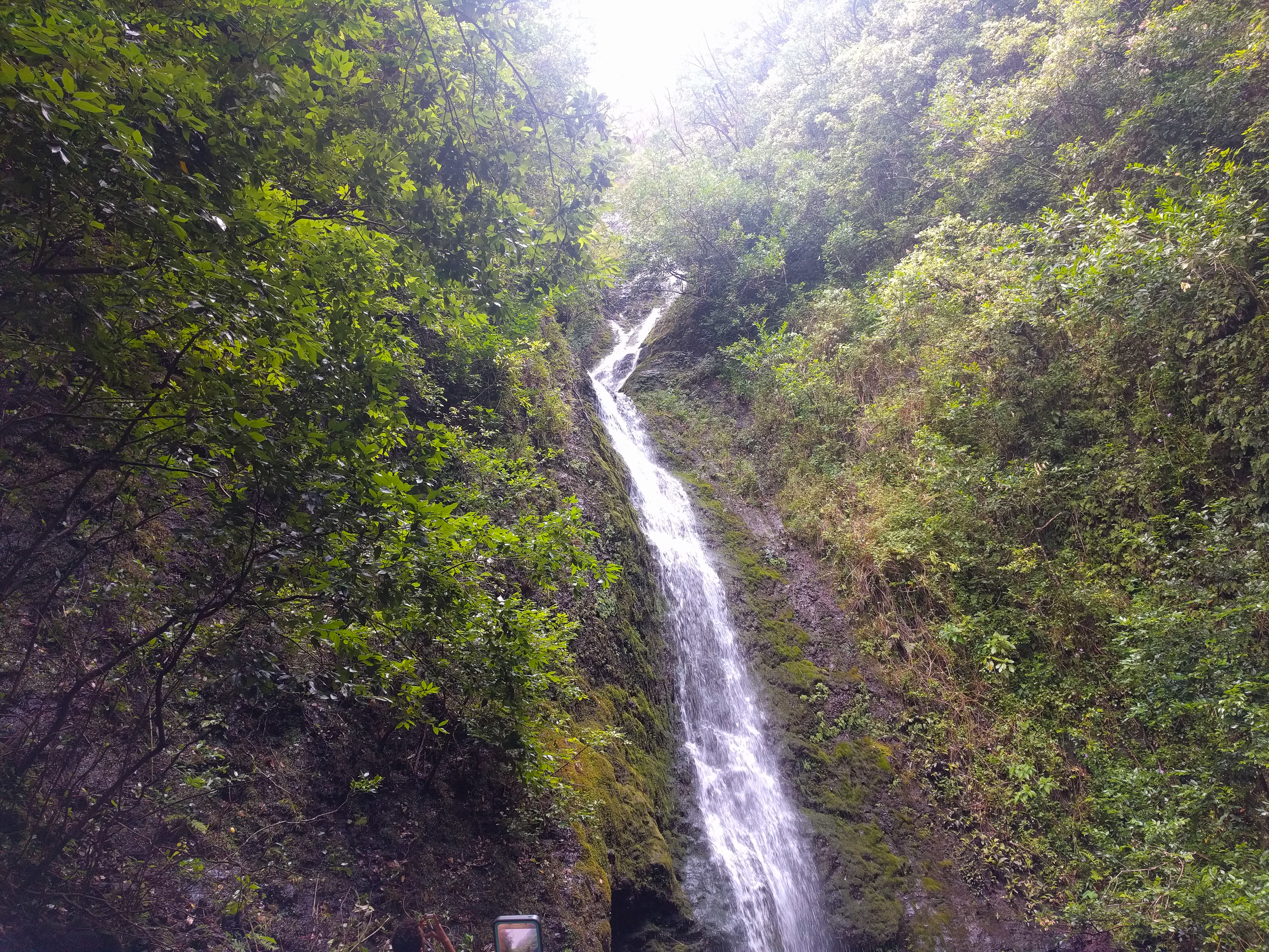 Lulumahu Falls is a 50-foot waterfall in Honolulu.