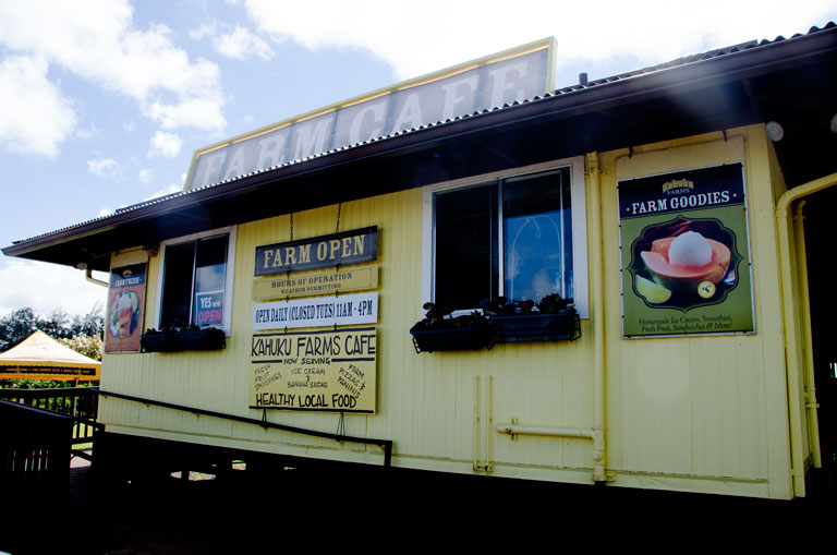 You can take a tour of Kahuku Farms and see where all of the fruits and vegetables are grown. Afterwards, eat a farm-to-table lunch.