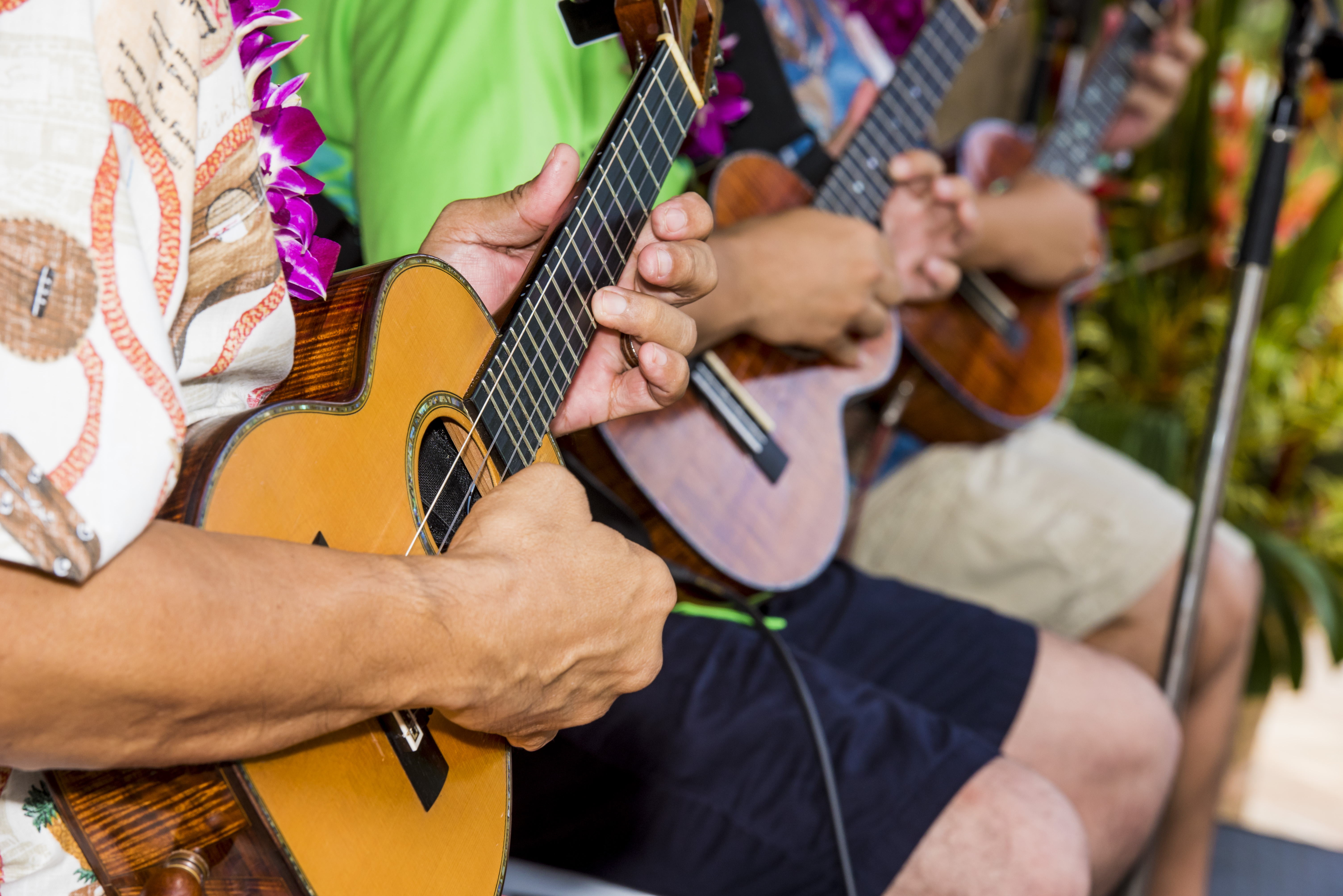 46th Annual Ukulele Festival Hawaii 2016. Photo Courtesy Ukulele Festival Hawaii