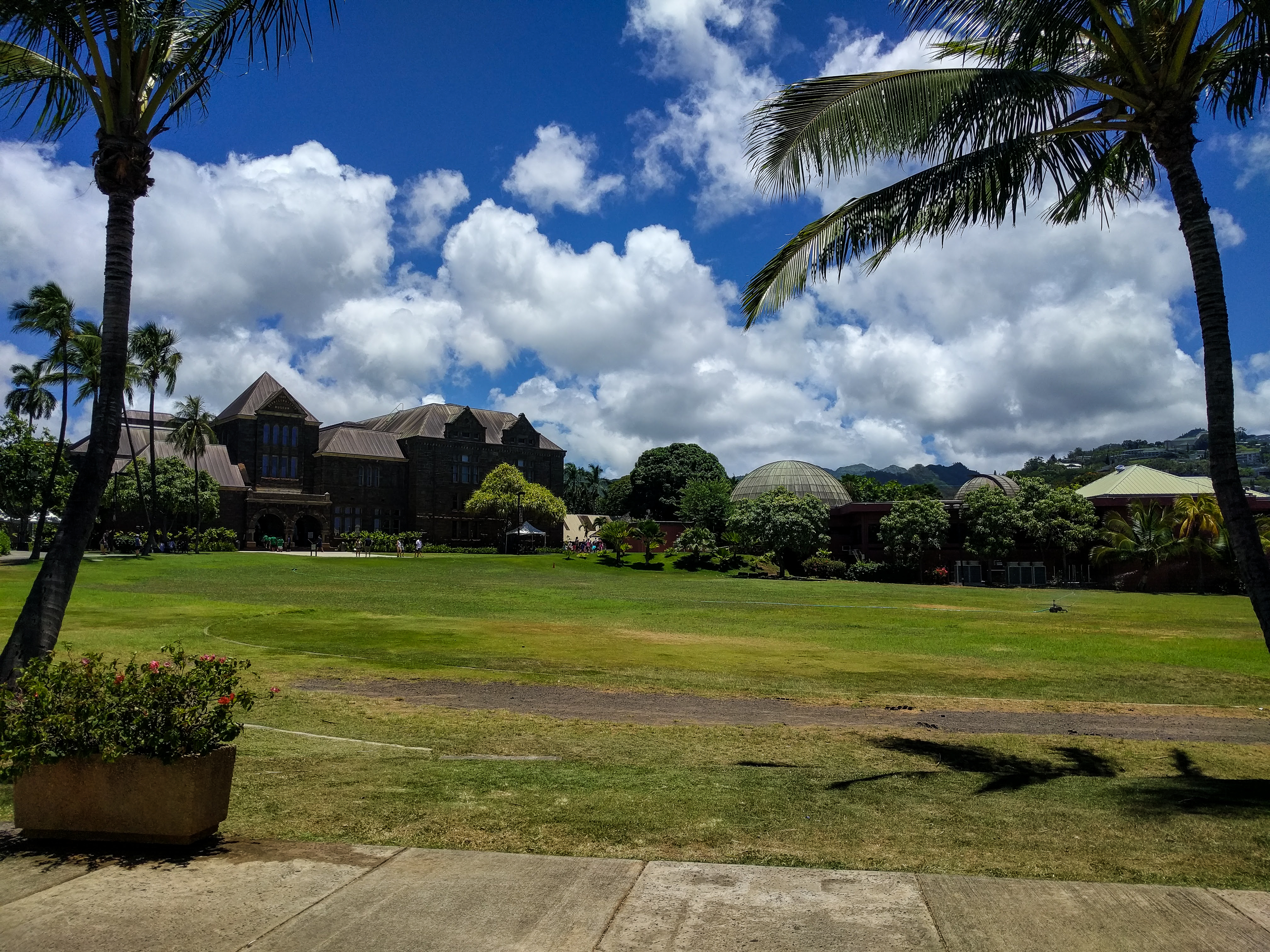 Bishop Museum is located on a beautiful campus in Honolulu. Here, you will learn about Hawaiian culture and natural history, and so much more.