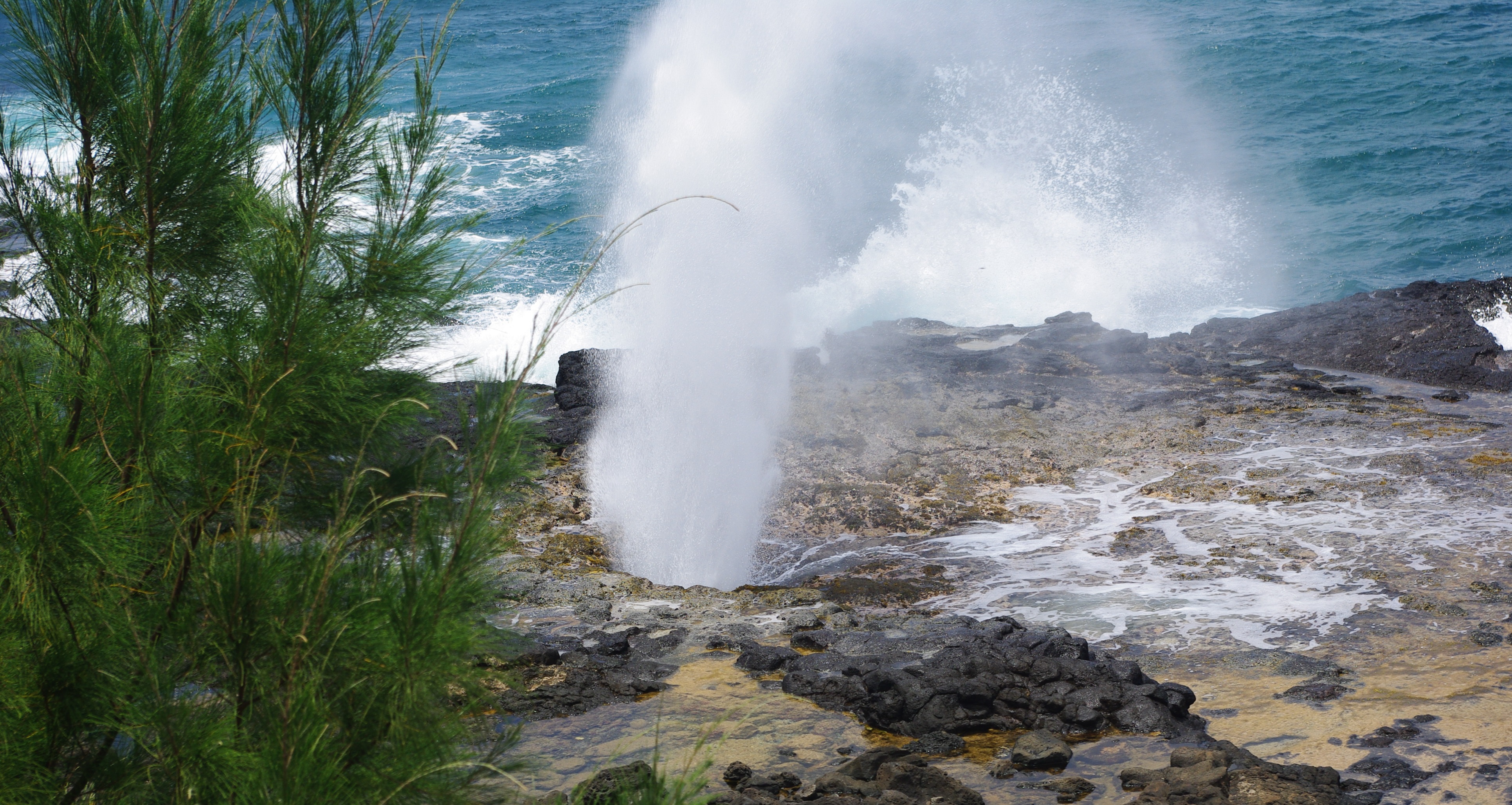 Poipu Kauai