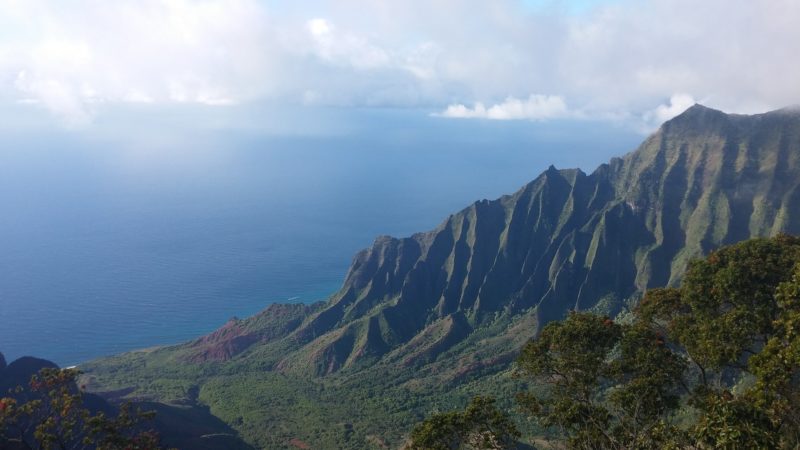 Alaka'i Swamp Trail