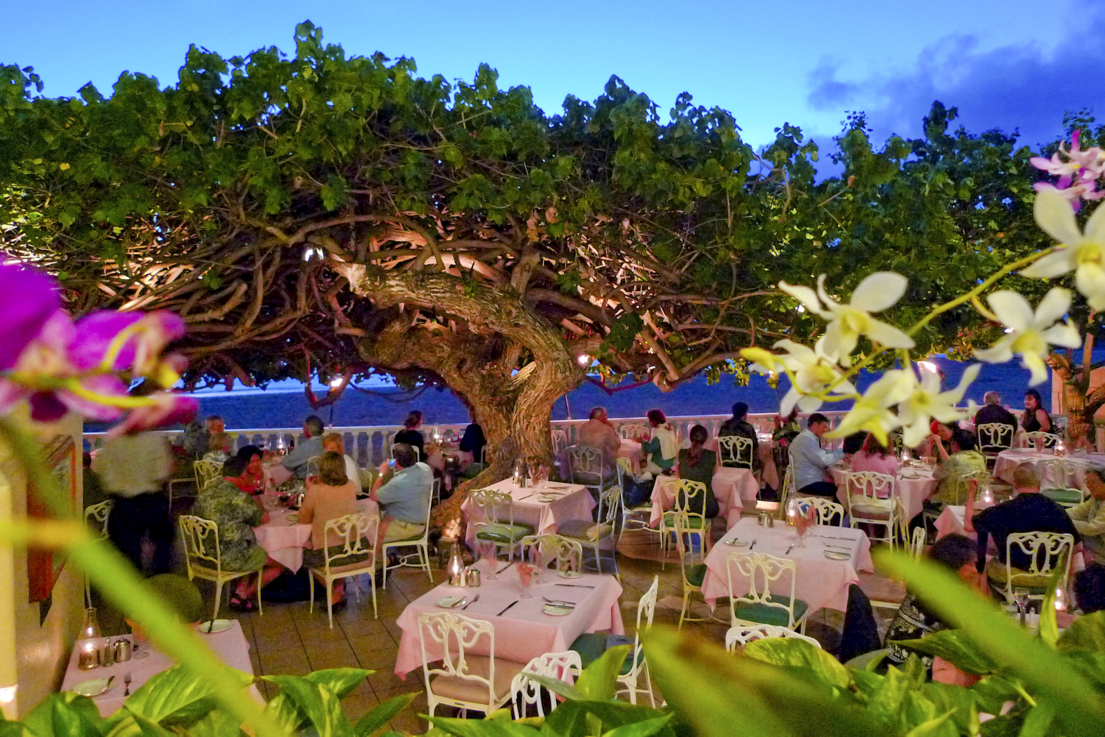 Waikiki beach restaurants