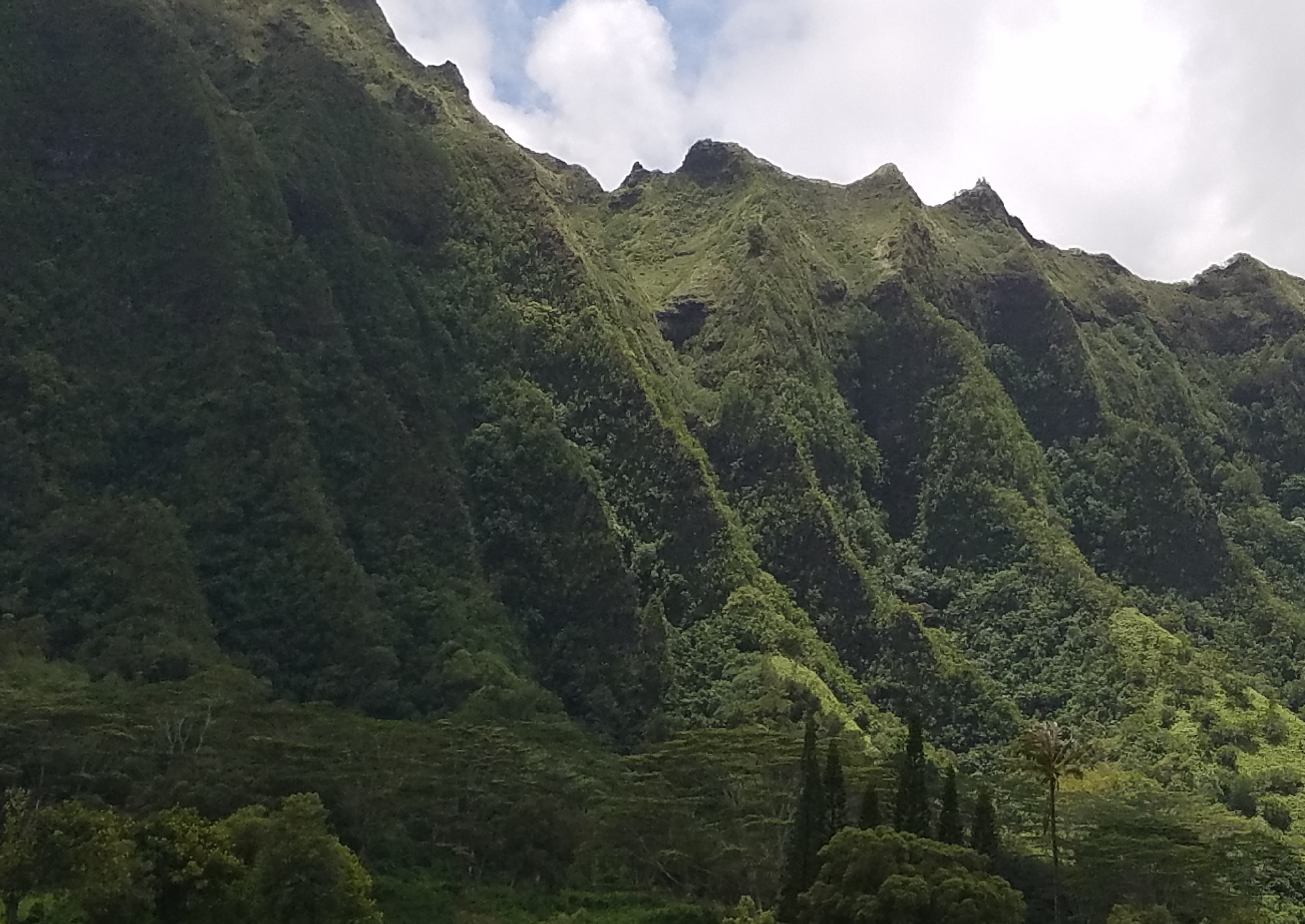 Hawaii Mountains