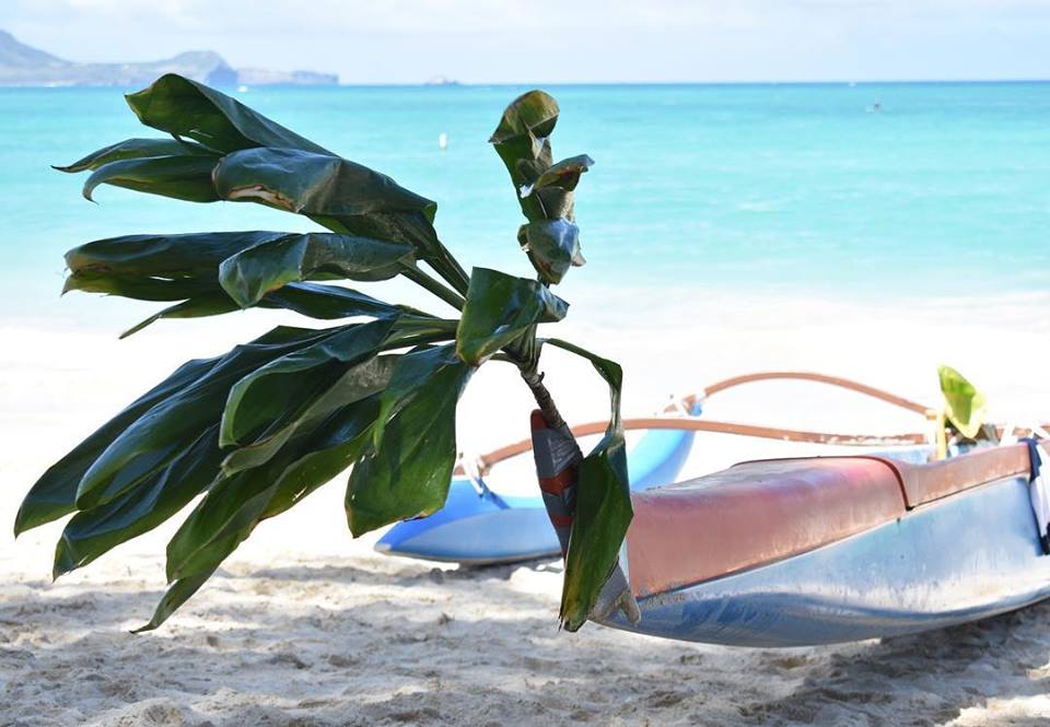 Josh Guerra farewell canoe