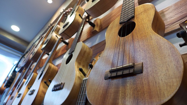 Hawaiian Music