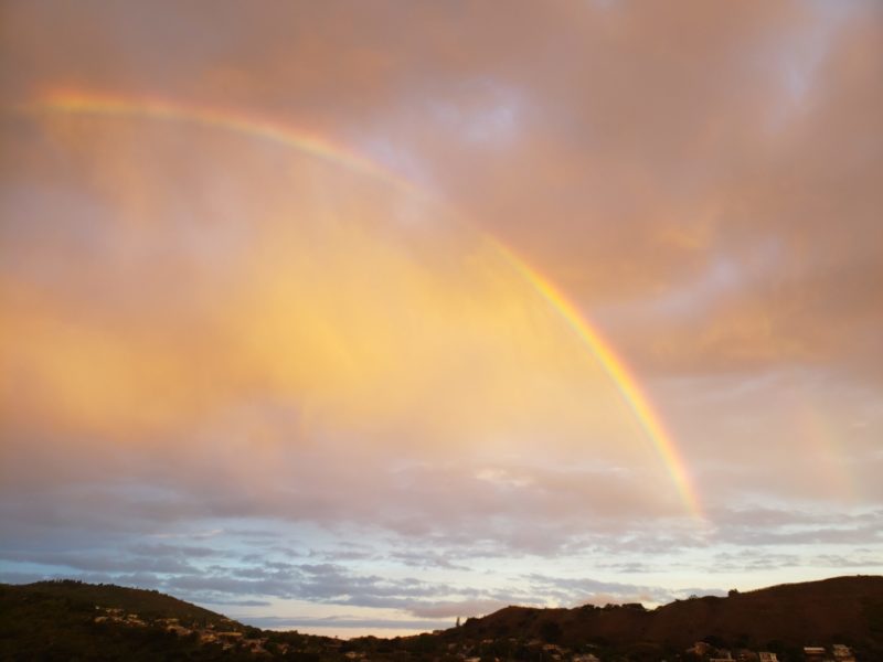 Hawaii rainbow