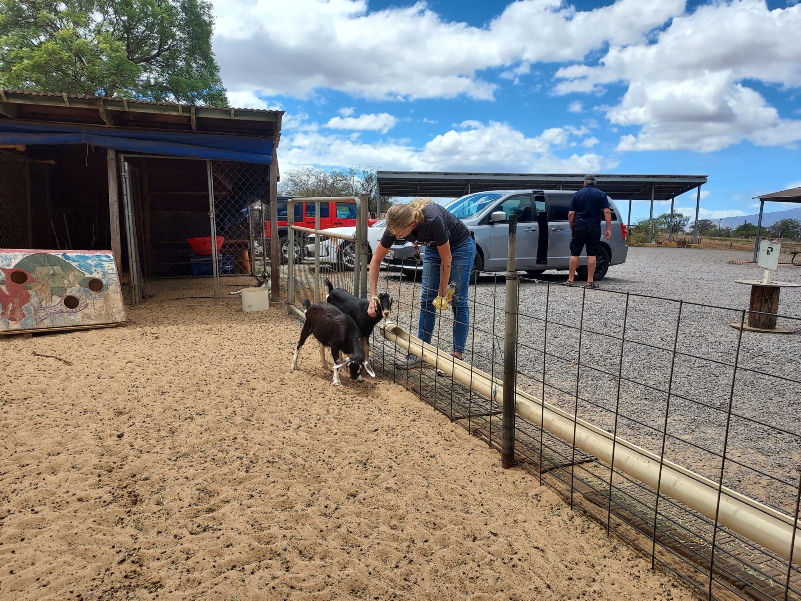 Visiting Surfing Goat Dairy Maui & Exploring Upcountry