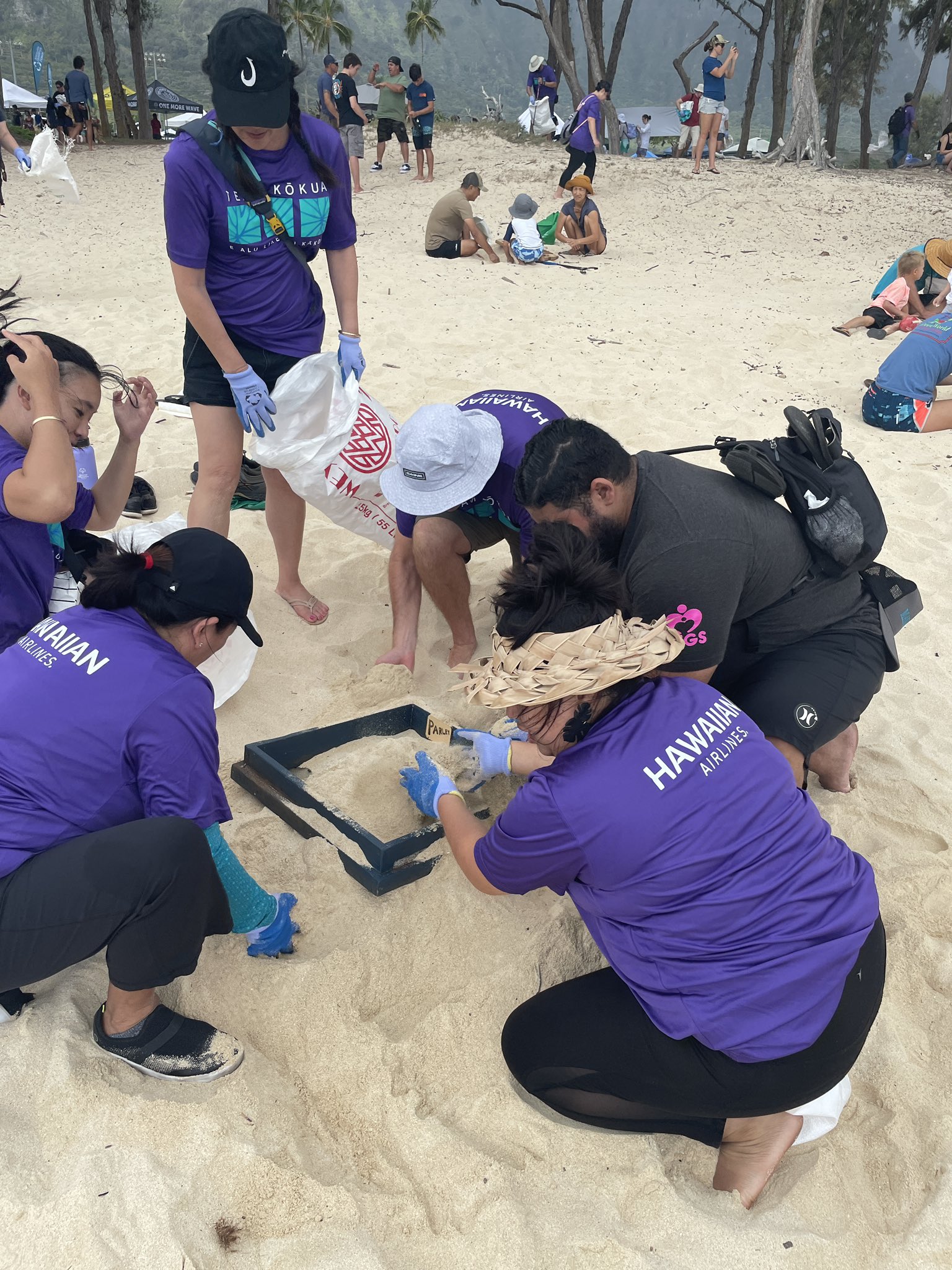 People on the beach partisipating in a Hawaii voluntourism cleanup project