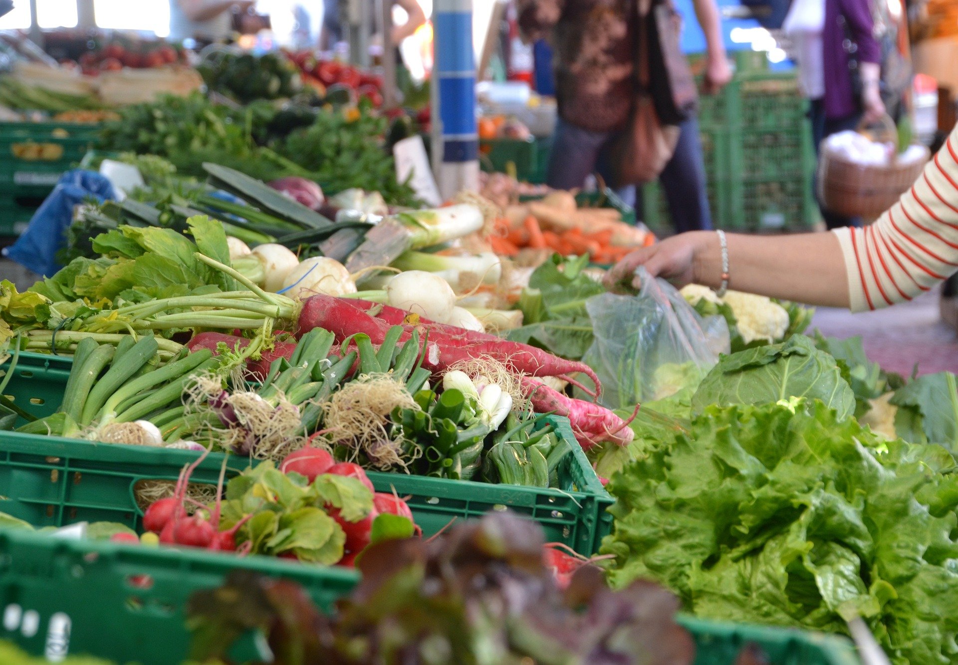 Various vegetables from Hawaii's farmers market