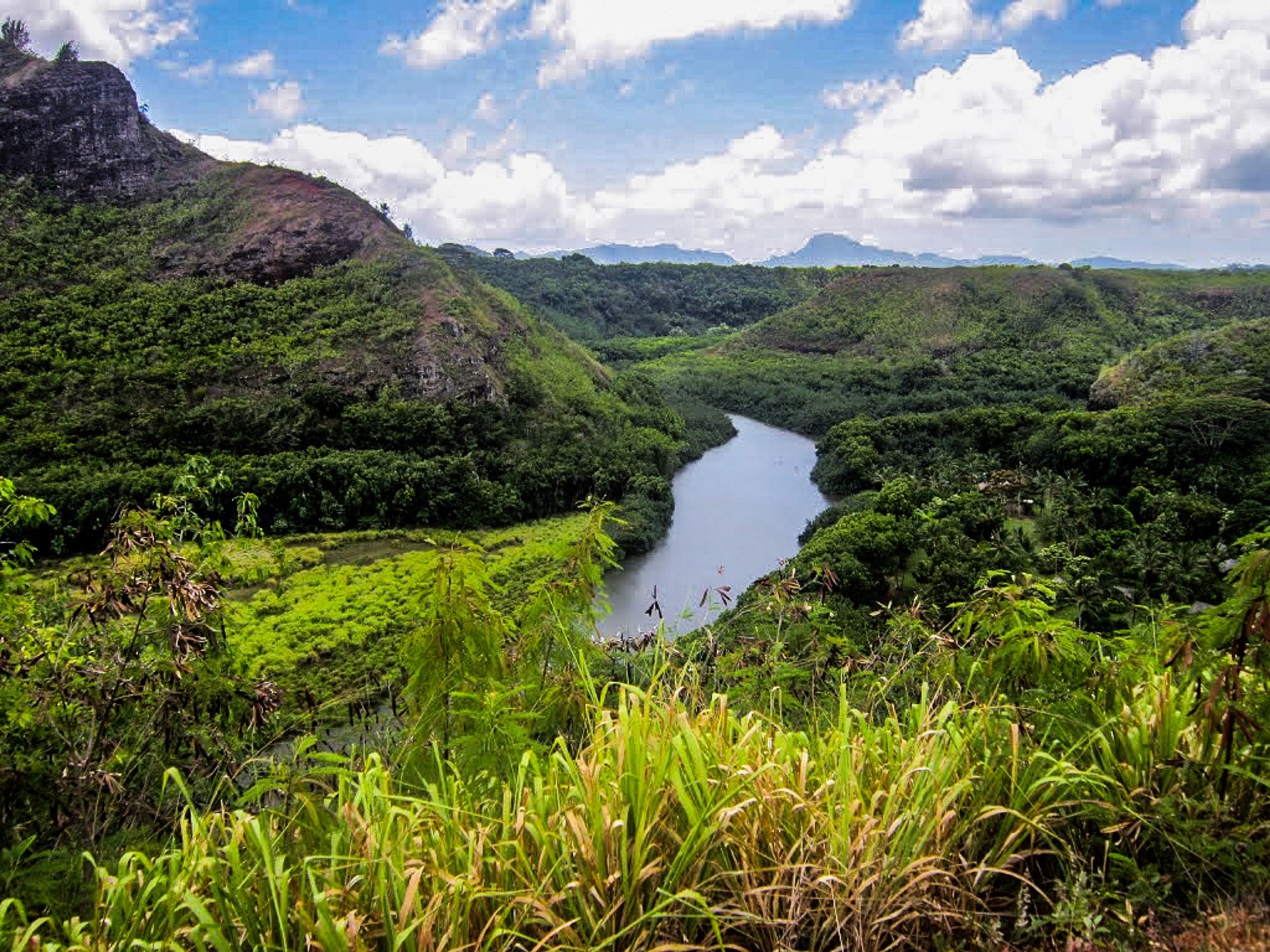 Stream located in on Kauai in Wailua 