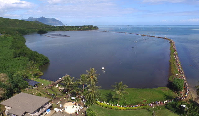 He'eia Fishpond aquaculture