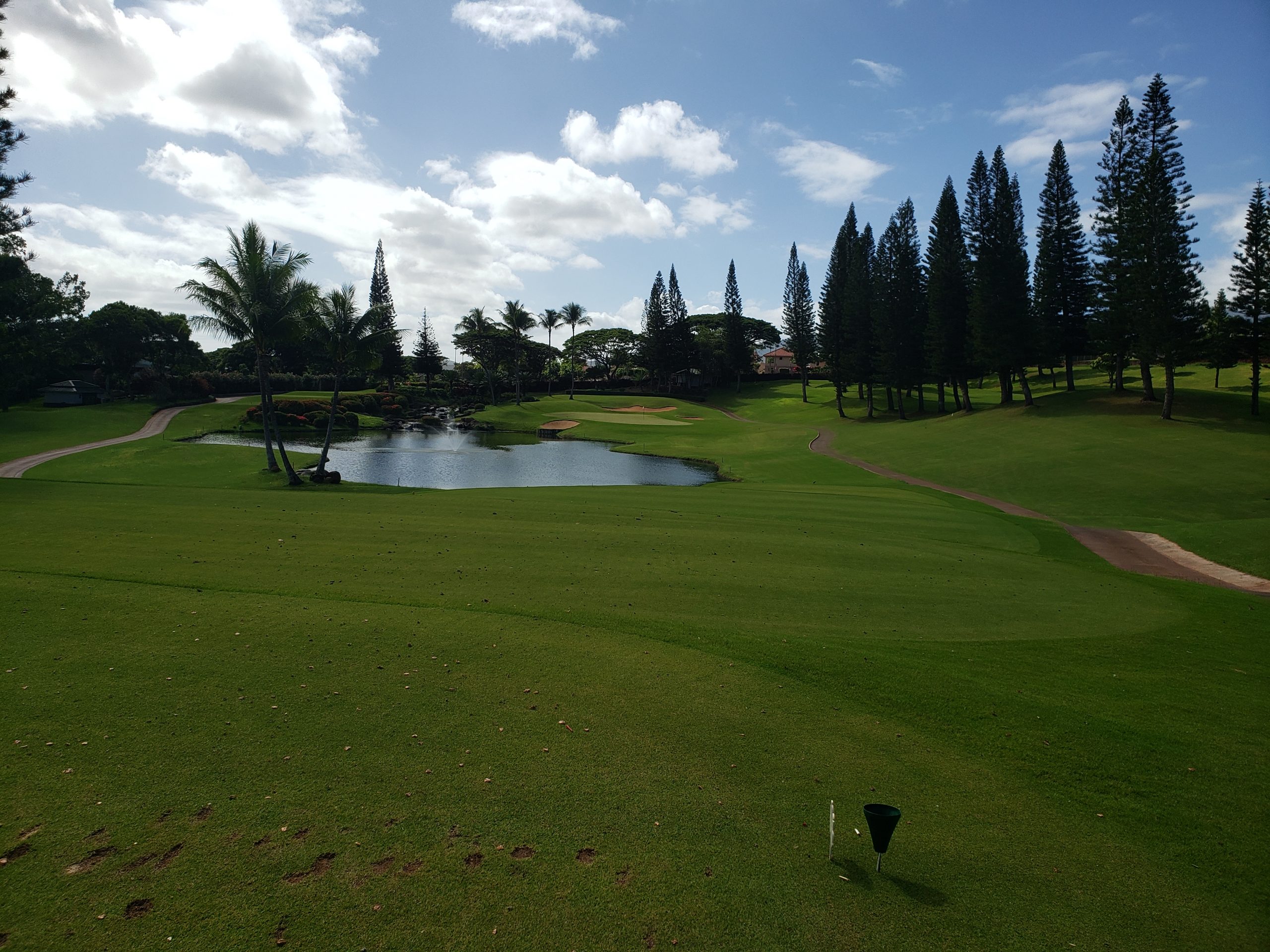 Hawaii Golf