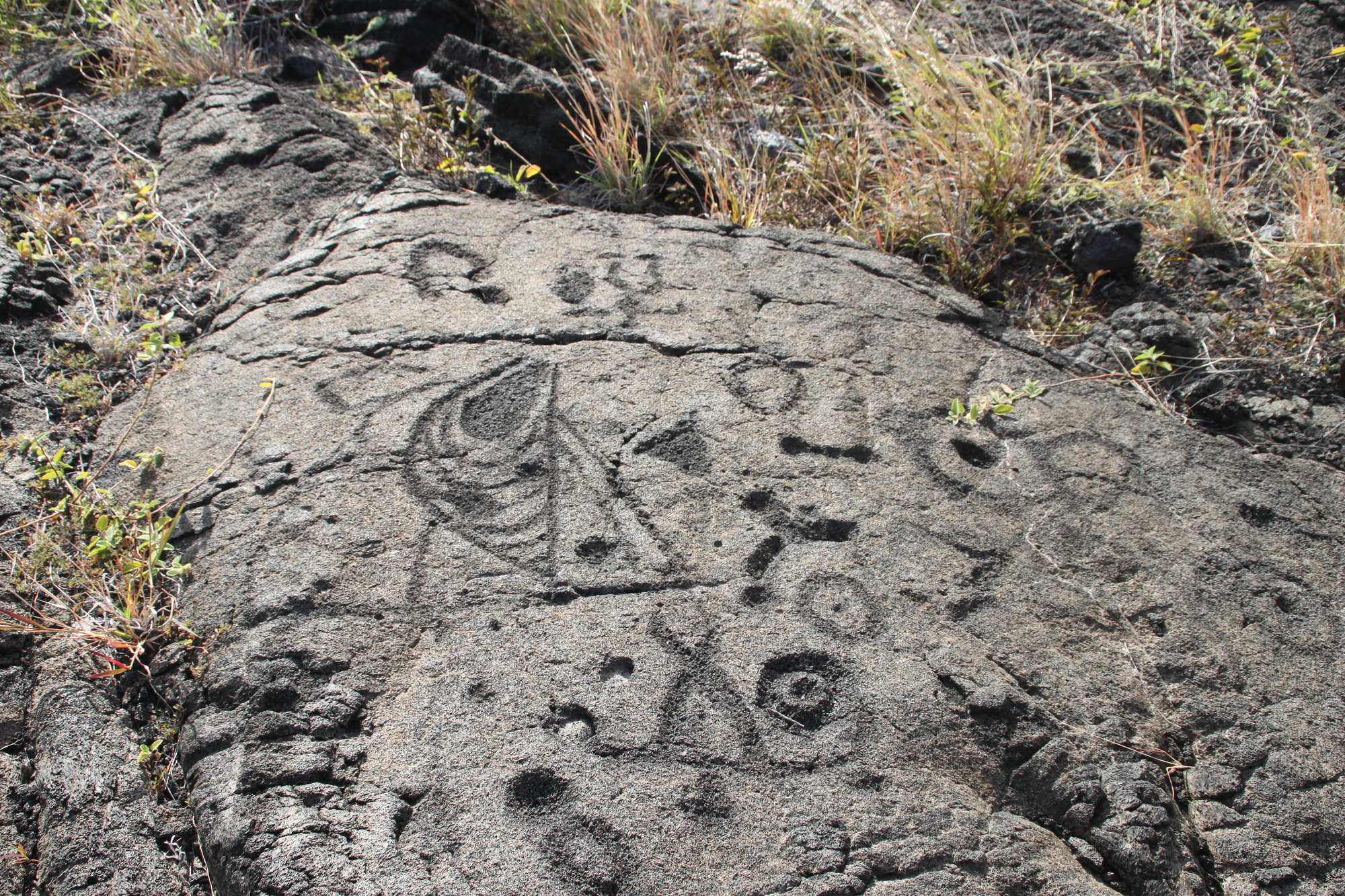 Pu'uloa petroglyphs, Hawaii, with human and other forms