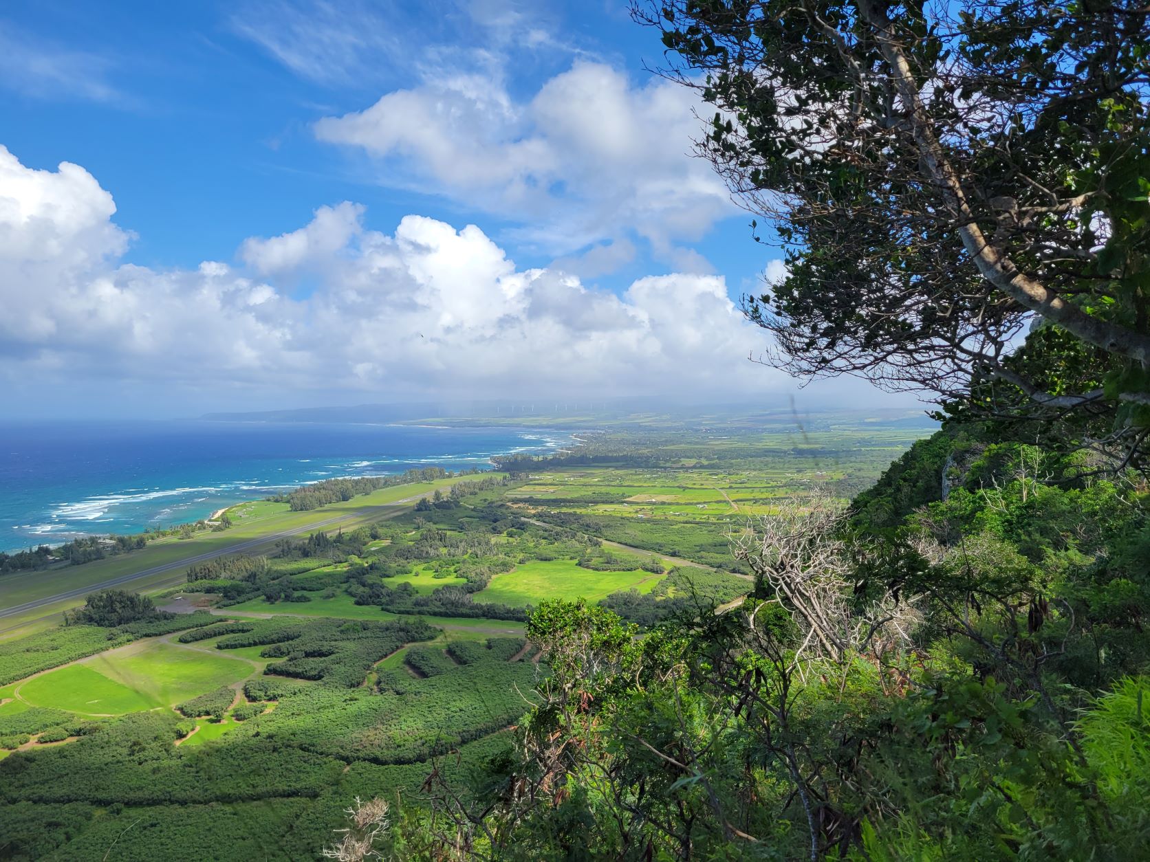 Kealia Trail ocean view