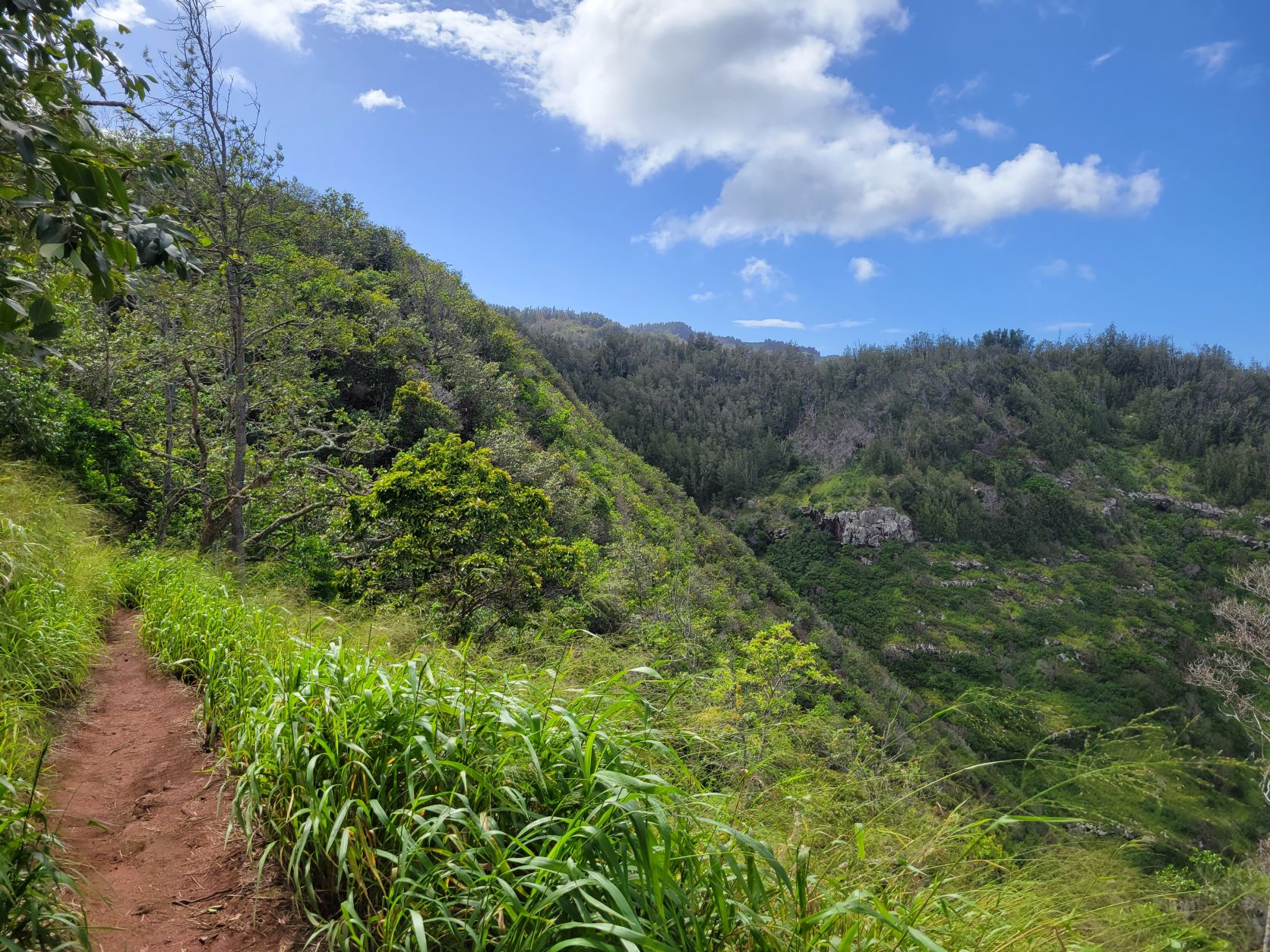 Kealia Trail view