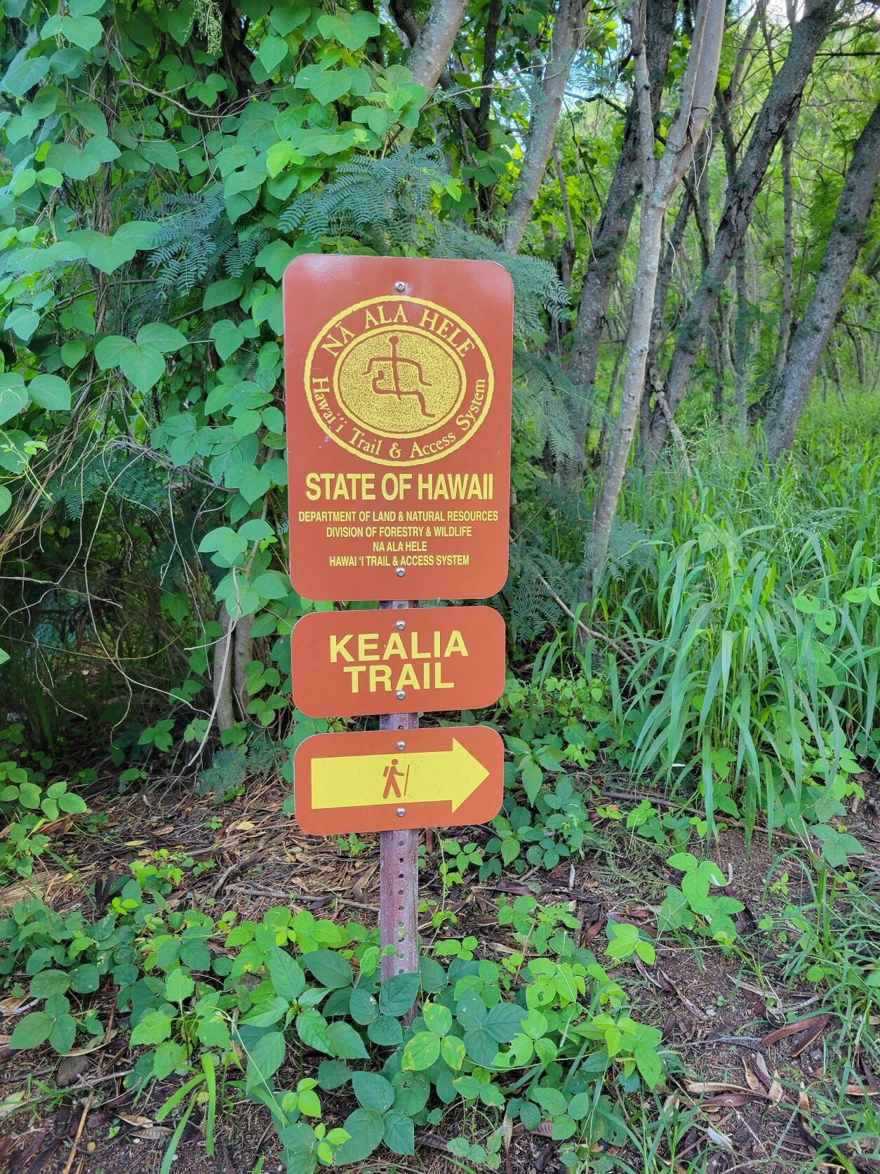 DLNR Kealia Trail signage