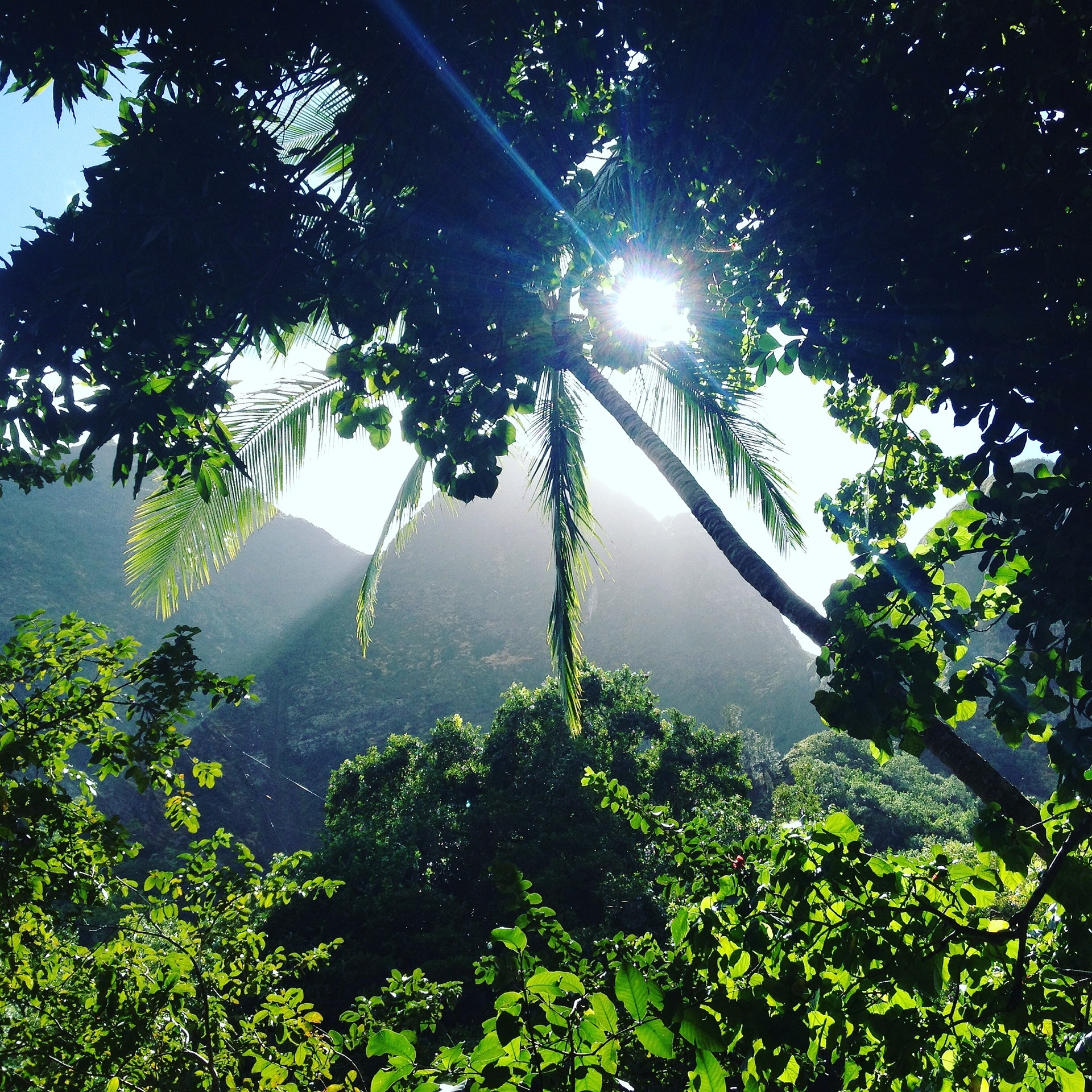 'Iao Valley view