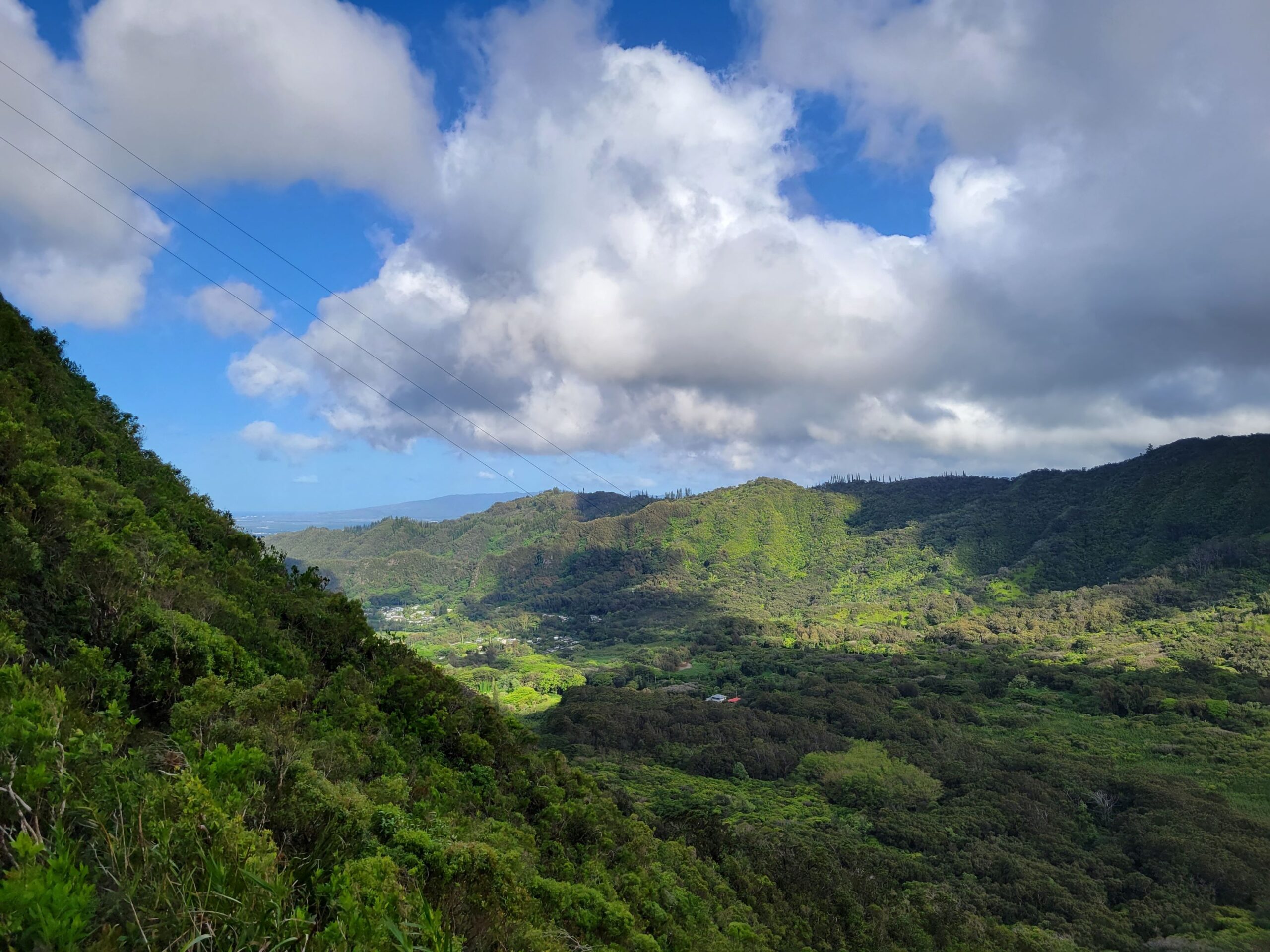 Pauoa Flats Trail View
