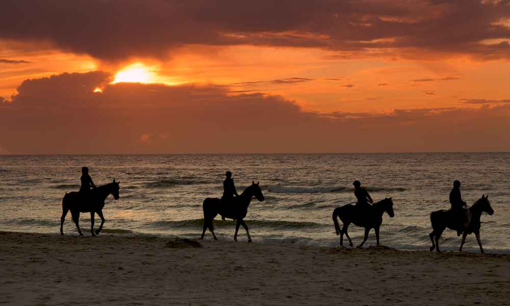 oceanside horseback riding oahu