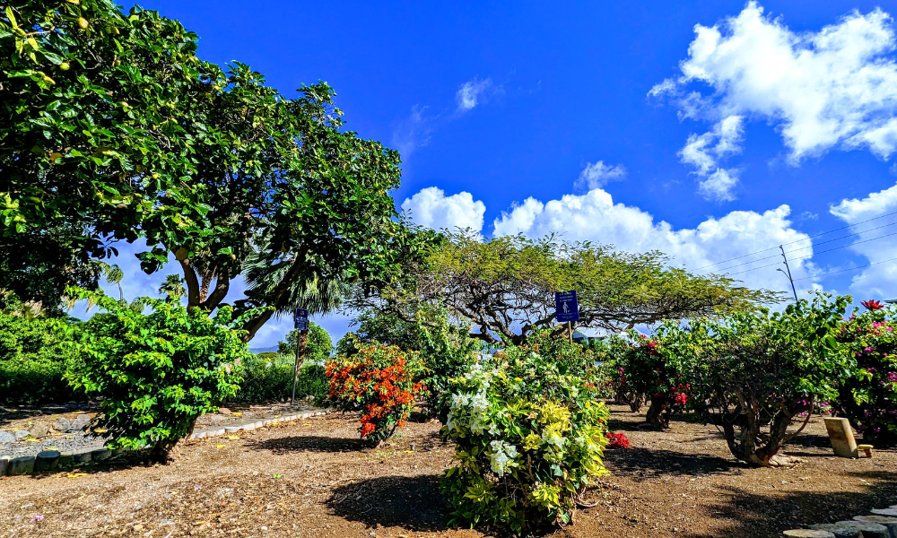 Waikiki Botanical Gardens