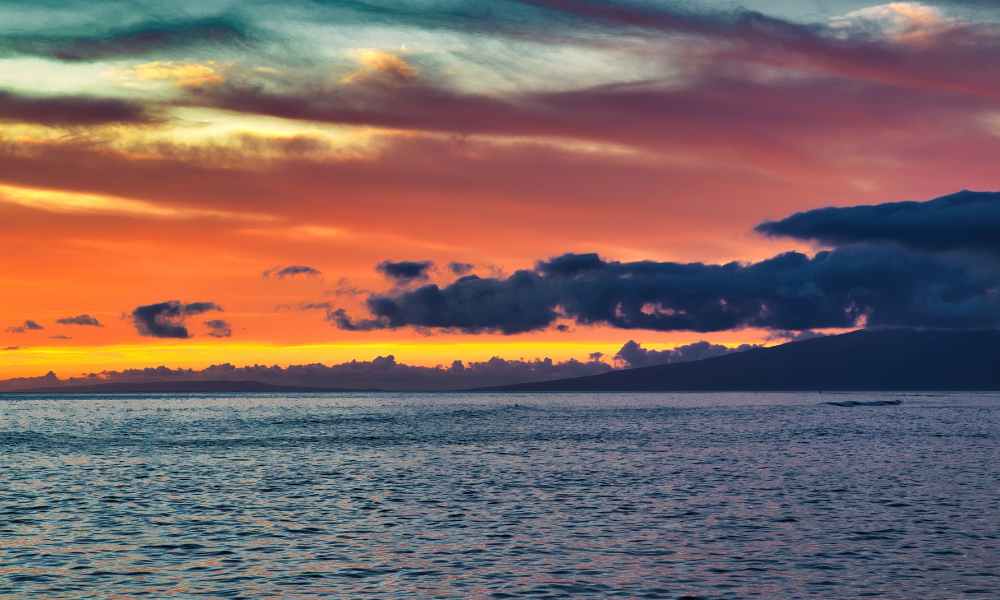 Lahaina Restaurant Views