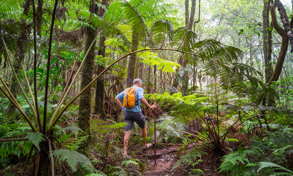the best hikes in Hawaii Big Island