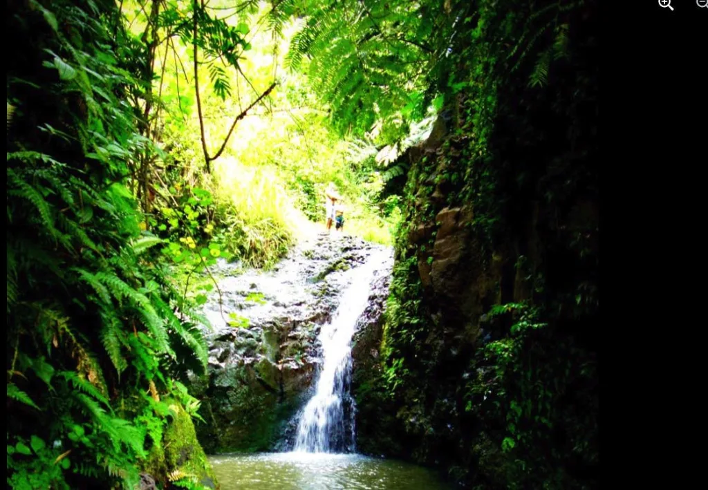 Maunawili Falls