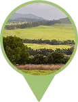 Waimea Big Island