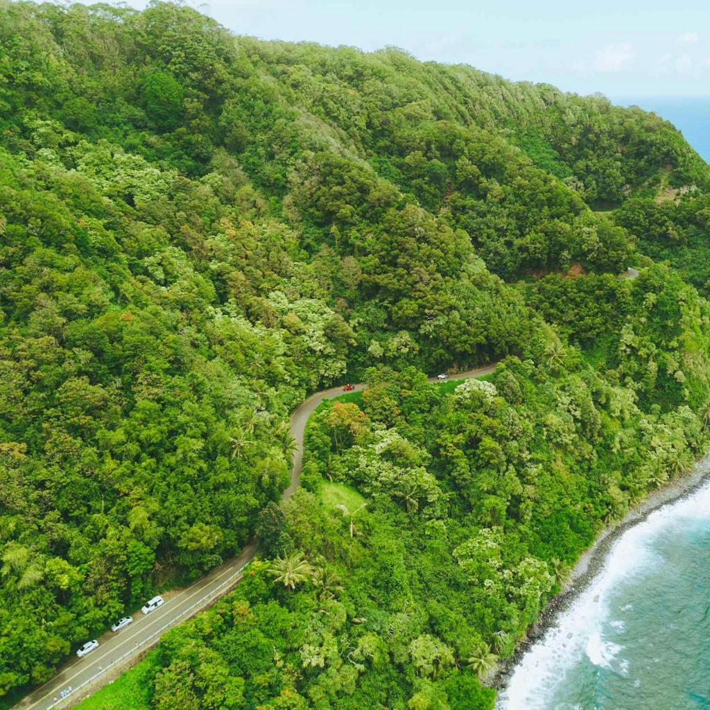 Wave to the cars below as you fly to Hana