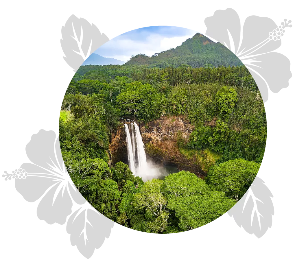day-4-kauai day-4-kauai