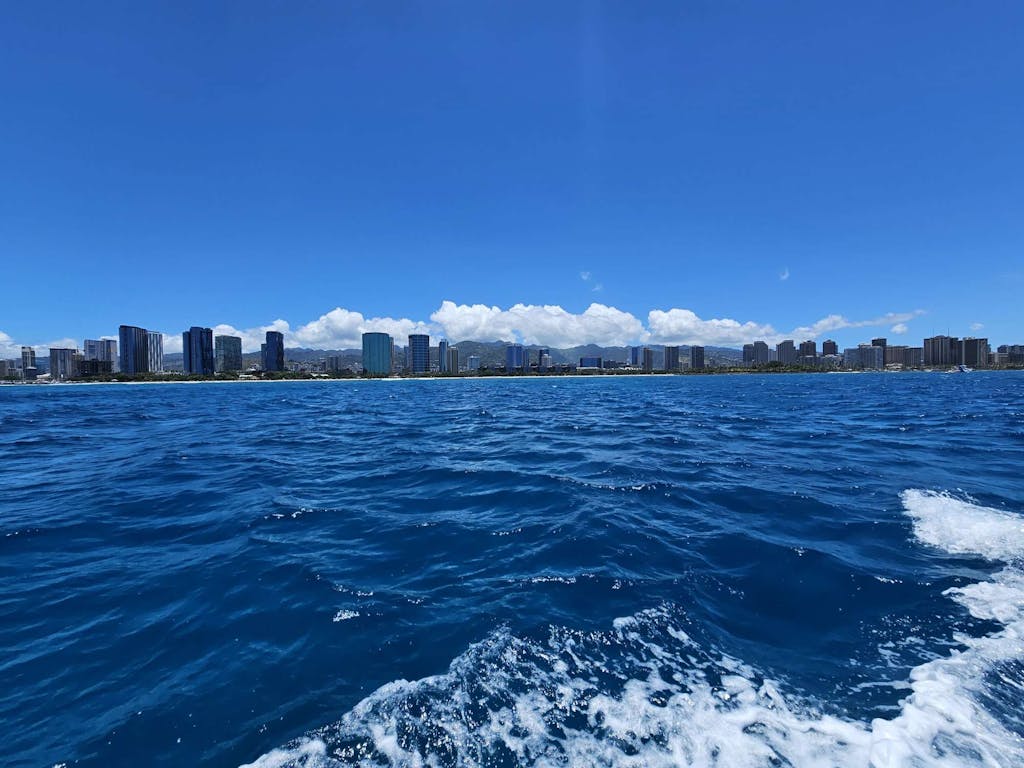fromtheocean