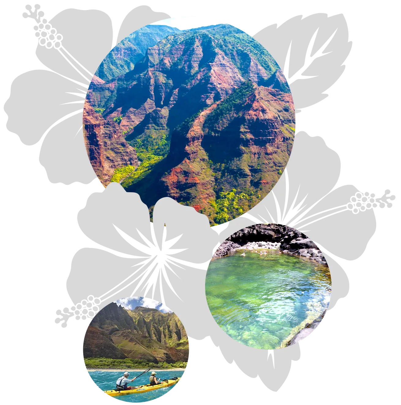 kauai-kids-features