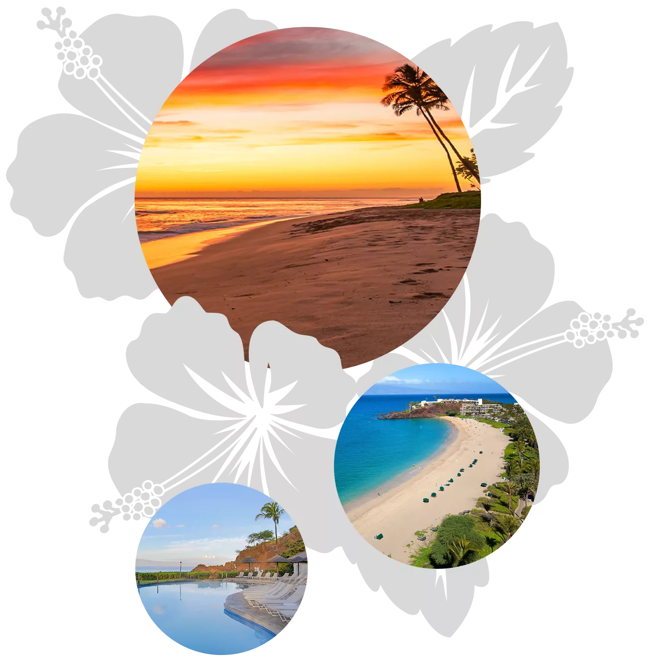 maui-all-features