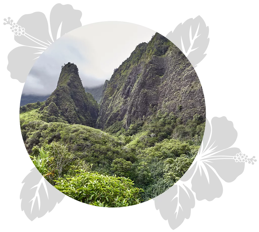 maui-kids-day-5.png- maui-kids-day-5.png-