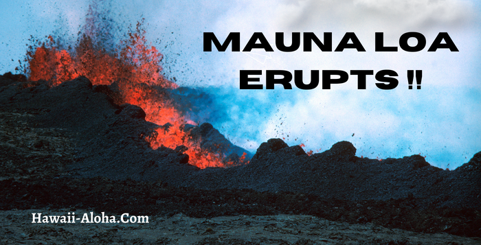 mauna-loa-erupts Mauna Loa Erupts