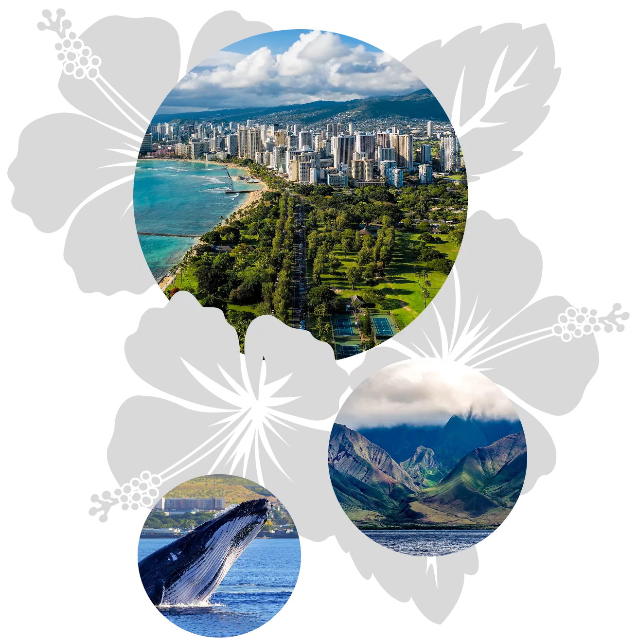 oahu-maui