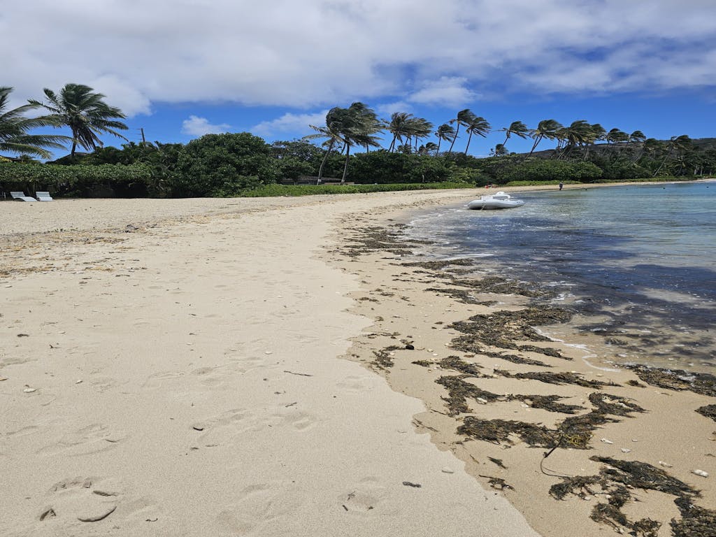 secluded beach
