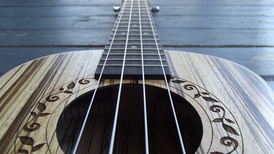 Close up of Ukulele strings